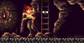 Super Adventure Island
