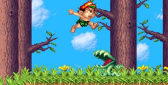 Super Adventure Island II