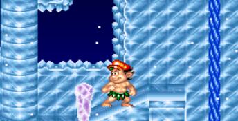 Super Adventure Island II