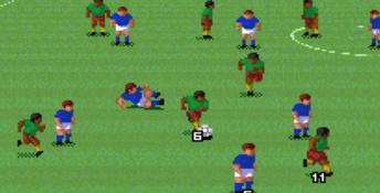 Super Soccer Champ
