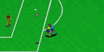 Super Soccer Champ