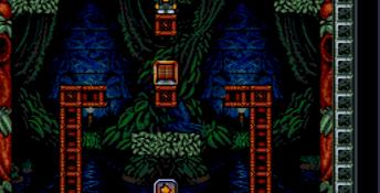 Troddlers SNES Screenshot