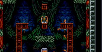 Troddlers SNES Screenshot