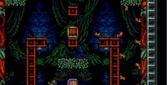 Troddlers SNES Screenshot