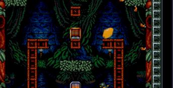 Troddlers SNES Screenshot