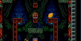 Troddlers SNES Screenshot