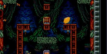 Troddlers SNES Screenshot