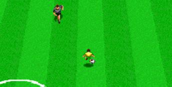 Virtual Soccer