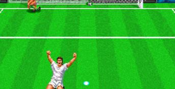 Virtual Soccer