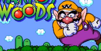 Wario's Woods SNES Screenshot