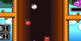 Wario's Woods SNES Screenshot