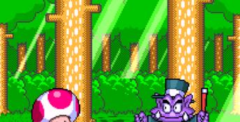 Wario's Woods SNES Screenshot
