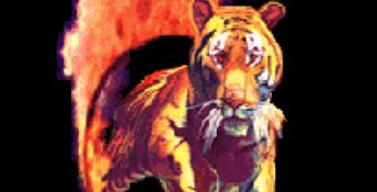 Wordtris SNES Screenshot