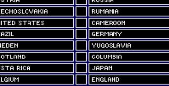 World League Soccer