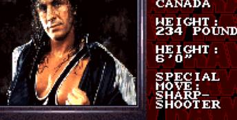 WWF RAW SNES Screenshot