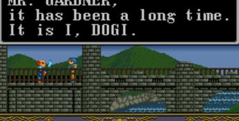 Ys 3: Wanderer from Ys SNES Screenshot