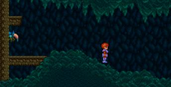 Ys 3: Wanderer from Ys SNES Screenshot