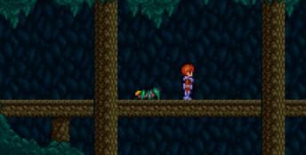 Ys 3: Wanderer from Ys SNES Screenshot