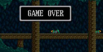 Ys 3: Wanderer from Ys SNES Screenshot