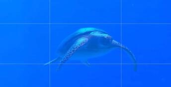 Endless Ocean Luminous Nintendo Switch Screenshot