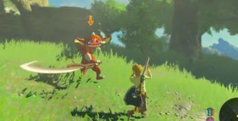 The Legend Of Zelda: Breath Of The Wild Wii U Screenshot