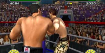 Knockout Kings 2002 XBox Screenshot