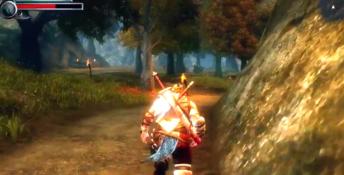 Viking: Battle for Asgard XBox 360 Screenshot